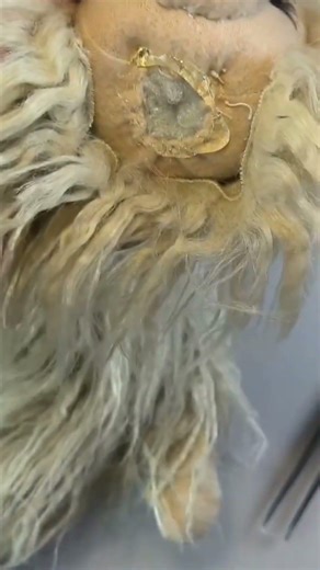 Alpaca #diy #giftideas #alicecrafts #tutorial