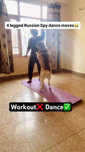 Husky viral dance💃😄 #husky #dance #dog #shorts