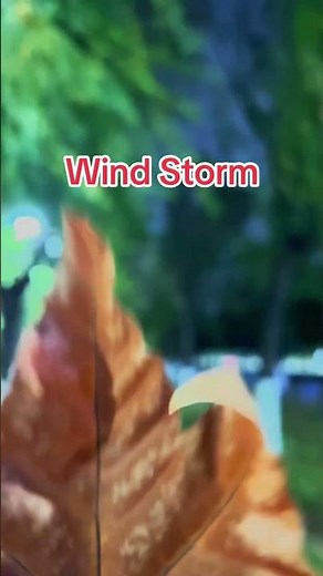 Wind Storm in China 🇨🇳