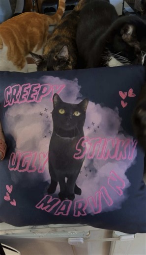 You guys asked and you shall receive! Finally able to launch all these things for you!! Link will be in bio, and everything is on sale through Sunday!!! And please let me know what else you want to see for merch! I love you all so much! #catsoftiktok #catlady #cat #fyp #foryoupage