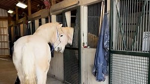 Logic's '1-800-273-8255' music video is a powerful story about suicide prevention