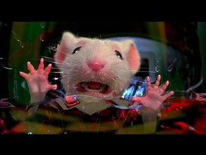 Stuart Little (1999) - Stuck in the Washing Machine Scene (2/10) | Movieclips