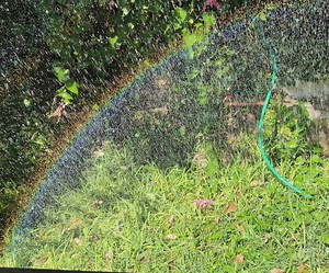 How to Create a Rainbow Using Water and Sunlight