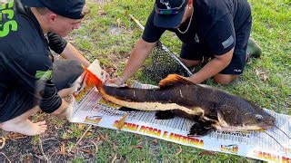 We brought home the loudest, wildest fish yet