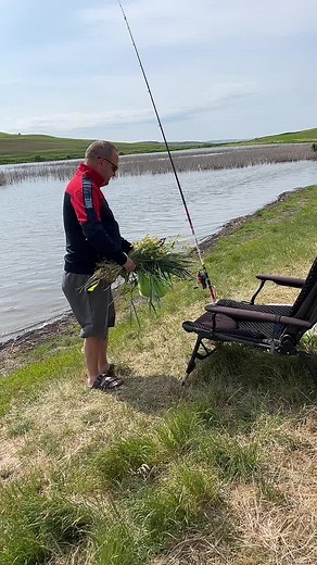 Videoclipuri postate de Găitan Bogdan (@gaitanbogdan) cu sunet original - HASAN