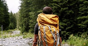 A man walking in the forest. Male traveler hike with backpack trekking pine woodland, Adventurer in expedition. Man hiking or camping in wilderness walk on path or trail.