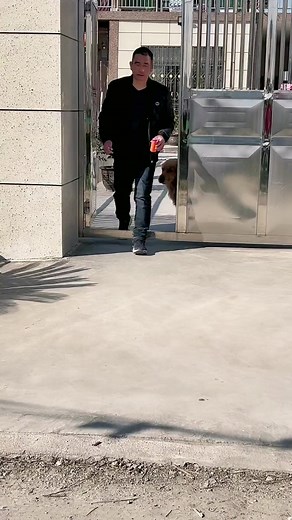 50K views · 2.2K reactions | Episode 15 - Smartest dog #pet #dog #pets #dogs #doggies #cute #cat #reels #facebookreels #savealife #shorts #respect #foryou #fyp #fun #funny | Viral Prince | Facebook