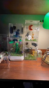 13K views · 316 reactions | 6 spiders. Answering the question on how...