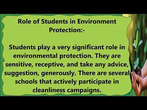 Essay on How to Protect the Environment