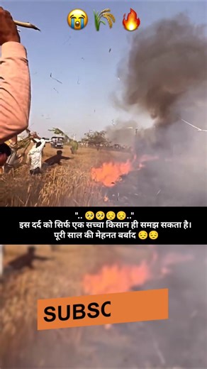 पूरी साल की मेहनत बर्बाद 🔥 #trending #shyarifact #shortsfeed #motivation #shayari #love #dailypost
