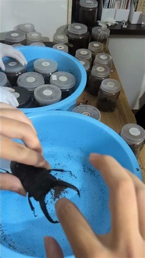 ライブ中に挟まれるのを促された男の末路