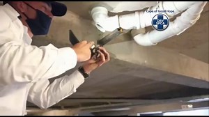 6.7K views · 246 reactions | [WATCH] A mother Egyptian Goose...