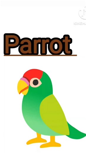 A parrot/How to write about parrot 🦜# shorts