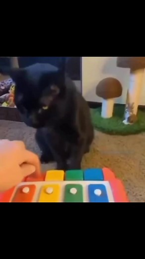 Can you believe that this was Monstercat's first time playing piano!? #indiemusic #rocketleague #catsoftiktok