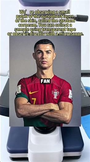 Sweat hand under the microscope 🤯🤯😱 #facts #microscope