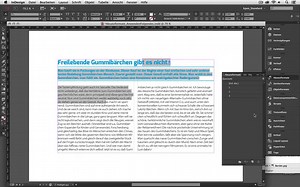 InDesign: Absatzformate Anwenden Folgendes