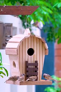 Create AMAZING Bird Feeder from SOLID Wood in Minutes! | woodworkingtoolstv.us