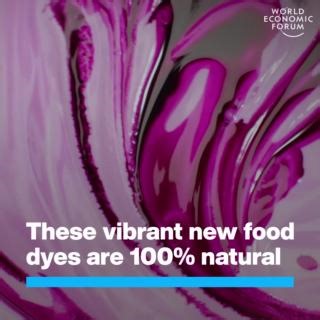 21K views · 338 reactions | They biodegrade rather than linger in the environment. Learn more about harnessing the power of biotechnology: https://ow.ly/7Nij50QXs5m Ginkgo Bioworks | World Economic Forum | Facebook