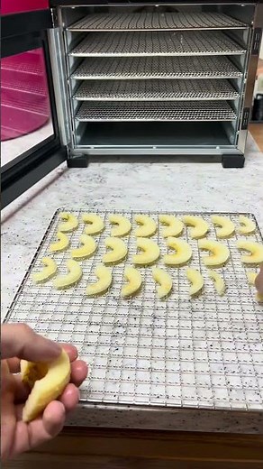Dehydrating apples #apples #foodstorage #homesteading
