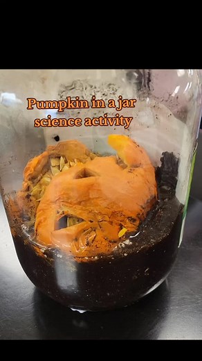 Decomposition of a Pumpkin in a Jar: Science Experiment