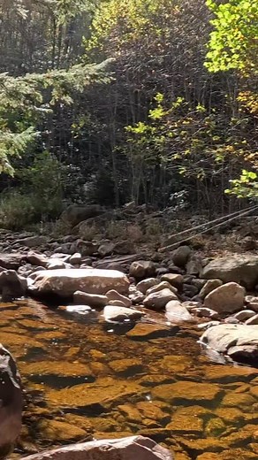 And that’s why we fish for native brookies! The most beautiful trout on earth. #trout #troutonthefly #troutofinsta #troutbum #troutfishing #brooktrout #nature #outdoors #fish #fishing #fishingdaily #fishinglife #flyfishing #flyfishingnation #guideline | Hardman Fishing Adventures