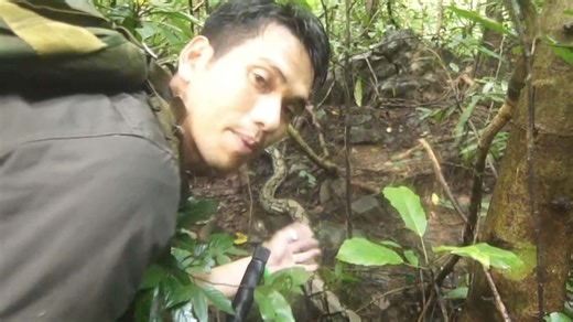 The Snake Master S01:E01 - Python, the Great Serpent of the Forest: A Legendary Silent Killer