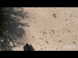 Nova Scotia Accent Studies 101