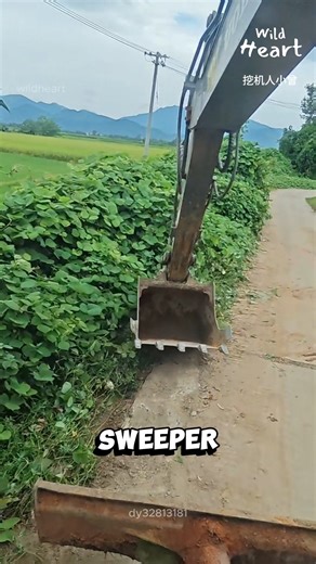 Wild Heart on Instagram: "The Bucket That Trims Nature #excavator #backhoe #ruralwork #roadmaintenance #farmroads"