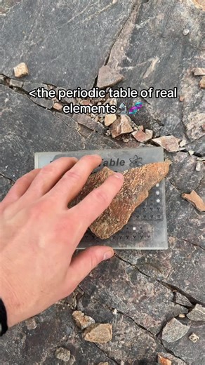 The True Value of Real Elements
