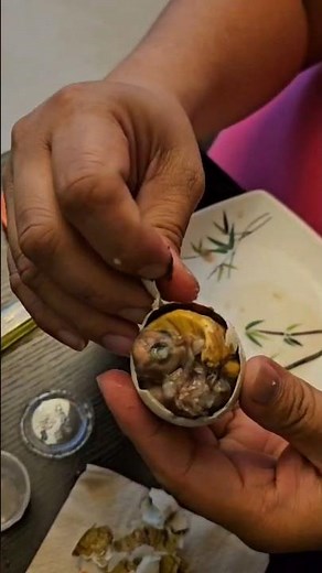 Cracking a Fertilized Egg 🥚 | What’s Inside Will Surprise You! #Shorts