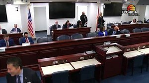 4/3/25 House Health Professions & Programs Subcommittee - The Florida Channel