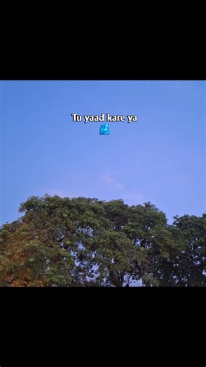 Tag your best friend 🫂 @id_vlogs786 #explore #backgroundmusic #trendingvideo #foryou #nature