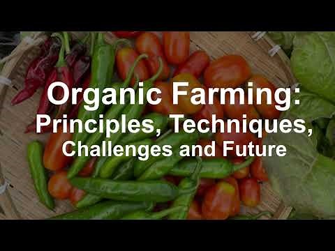 Organic Farming: Principles, Techniques, Benefits, Challenges & Future Trends 🌱