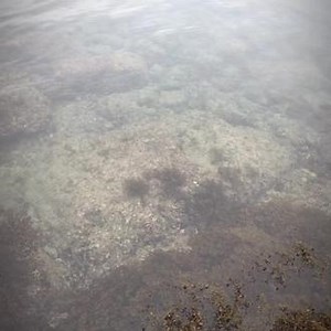 海岛大亨如何设置原材料不出口