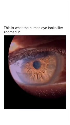 𝐇𝐈𝐒𝐓𝐎𝐑𝐘| 𝐈𝐍𝐅𝐎 | 𝐖𝐄𝐀𝐋𝐓𝐇 on Instagram: "Up close, the human eye looks less like biology — and more like a galaxy. 🌌 Those cosmic-looking fibers aren’t just patterns; they’re muscle strands that expand and contract with light, controlling how much of the world you see every second. It’s wild to think that inside every glance lies an entire universe of living design — a structure so detailed it can even identify you, just like a fingerprint. Nature doesn’t just create — it engineer