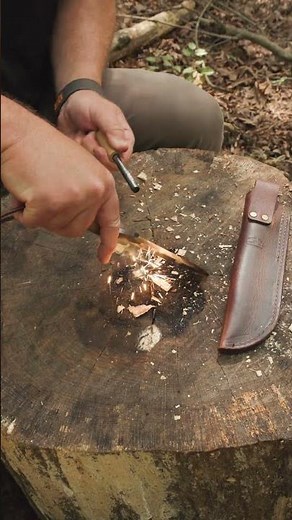 BEST Way To Start A Fire? #survival #bushcraft #camping