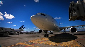 23K views · 275 reactions | Wait there's more - not only is Dog Squad:Puppy School starting on Tuesday 16 February at 7.30pm on TVNZ 1 - Dog Squad Season 11 (including the 100th episode) runs straight after it at 8pm - an hour of all your fav. dogs has got to be a must watch!!! Book it in for the next 10 weeks | Dog Squad NZ | Facebook