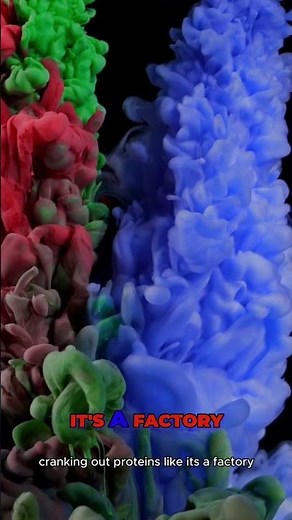 Cellular Skin Care: Smooth vs. Rough Endoplasmic Reticulum