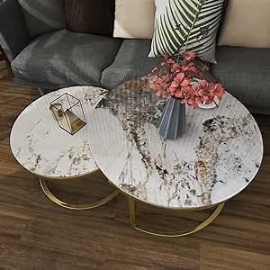 Round Nesting Table, Coffee Table Set of 2 Sintered Stone Tabletop for Living Room and Small Space, Coffee Table with End Table Set