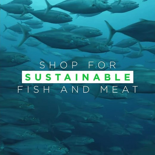 Five Steps To Help Save Our Planet