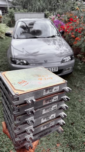 #creatorsearchinsights #p08 #d15b #vtec