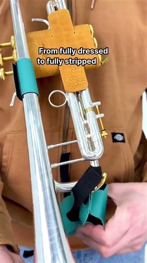 We start with the complete setup