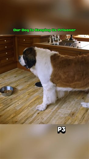 Effective Dog Training Techniques for Scary Breeds