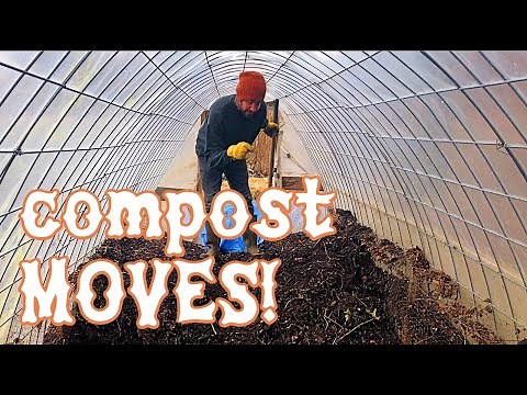 Compost MOVES! Chickens generate HUGE fertility in small yard.
