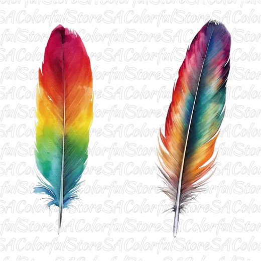 Watercolor Feather PNG Bundle, Colorful Feather Clipart, Digital Download, Commercial Use - Etsy