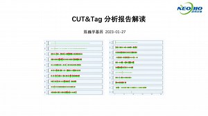 【陈巍学基因】CUT&Tag 分析报告解读