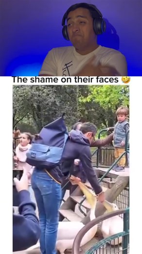 Mr.Danial on Instagram: "The Shame on their faces藍藍"