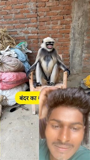 बंदर का शादी सेट है #funny #thetharpuns #shilpisaroja #comedy