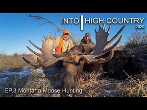 Montana Moose Hunting