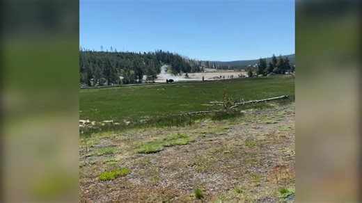 VIDEO OF BISON CHARGING TOURISTS IN YELLOWSTONE: A visitor to Yellowstone National Park shot video of a bison that charged tourists Tuesday. The bison charges two adults and a child and then a man lifts the young child out of harm's way. 🎥: Rob Goodell More Info: https://nbcmontana.com/news/local/bison-encounter-in-yellowstone | NBC Montana
